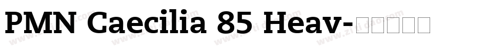 PMN Caecilia 85 Heav字体转换